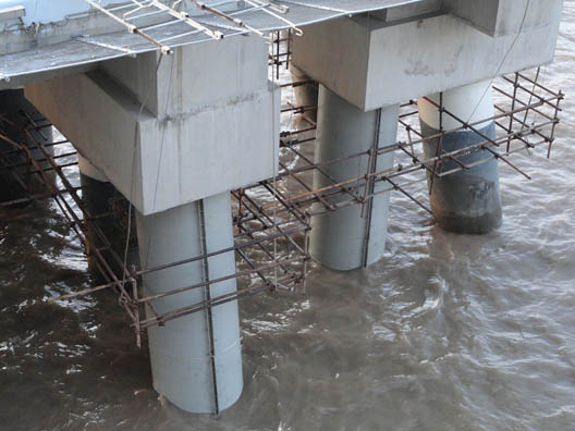 �����O�����